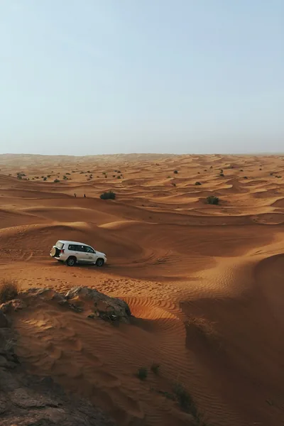 Mleiha desert experience