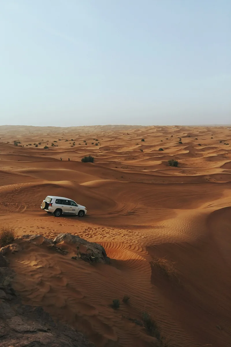 Desert safari