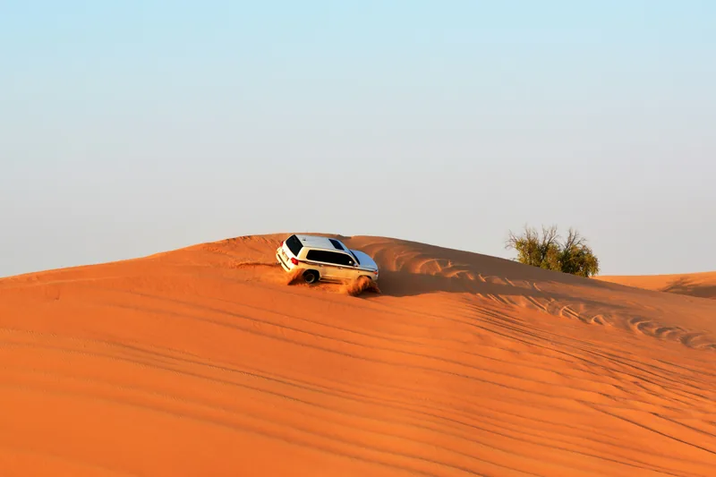 Desert safari