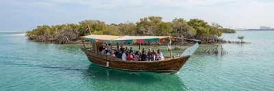 Sinniyah Island boat trip