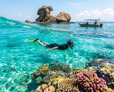 Snoopy Island snorkelling